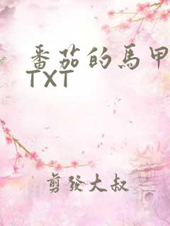 番茄的马甲小说TXT