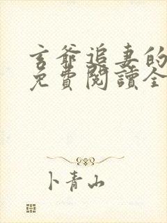 玄爷追妻的小说免费阅读全文