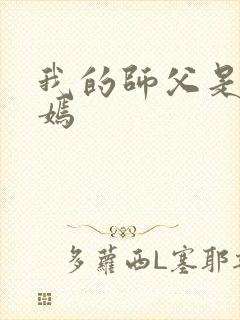 我的师父是王语嫣