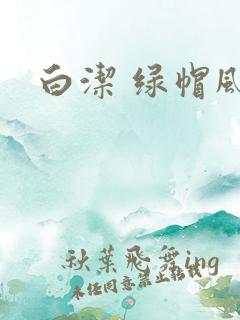 白洁 绿帽风云