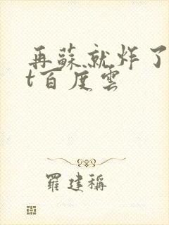 再苏就炸了txt百度云