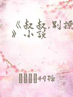 《叔叔,别撩我》小说