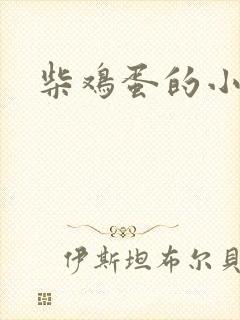 柴鸡蛋的小说