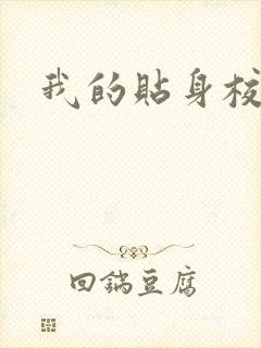 我的贴身校花