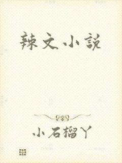 辣文小说