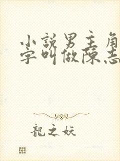 小说男主角的名字叫做陈志远