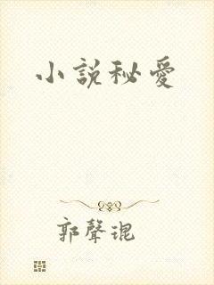 小说秘爱