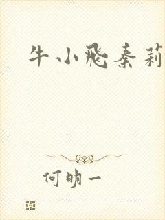 牛小飞秦莉莉