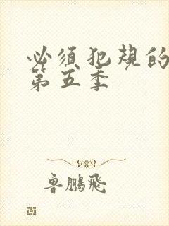 必须犯规的游戏第五季