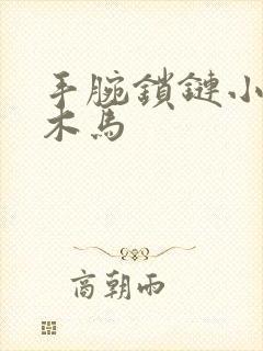 手腕锁链小黑屋木马