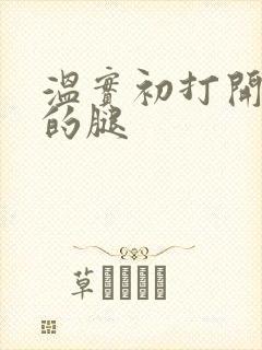 温实初打开眉庄的腿