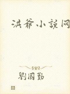 洪爷小说网