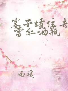 塞子堵住去上学 当红酒瓶