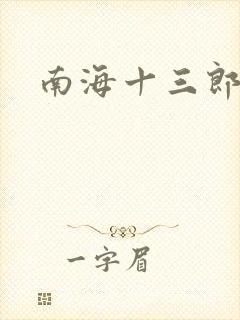 南海十三郎小说