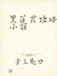 黑莲花攻略手册小说