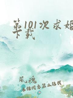 第101次求婚下载