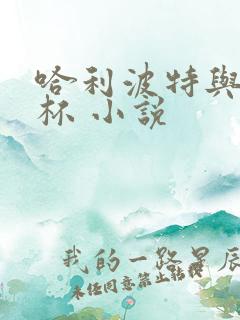 哈利波特与火焰杯 小说