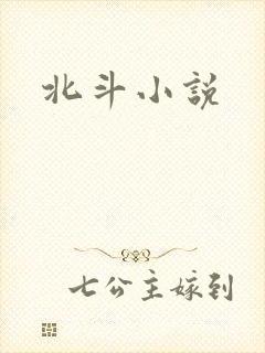 北斗小说