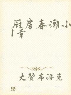 厨房春潮小说第1章