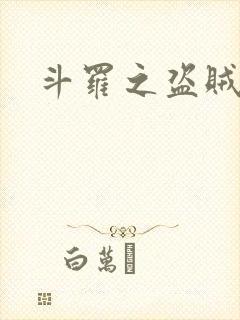 斗罗之盗贼