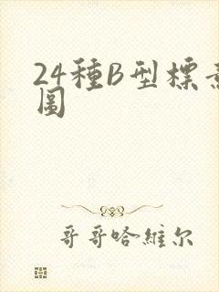 24种B型标意图