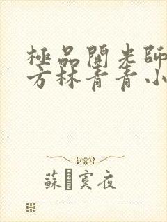 极品开光师李南方林青青小说叫