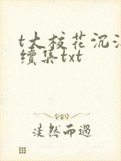 t大校花沉浮录续集txt