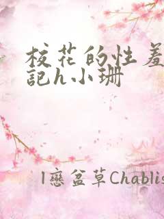 校花的性羞辱日记h小珊