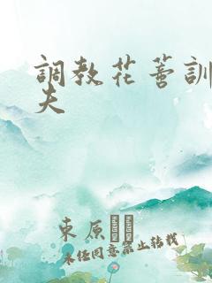 调教花蒂训诫从夫