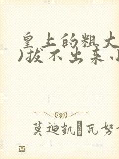 皇上的粗大(h)拔不出来小说