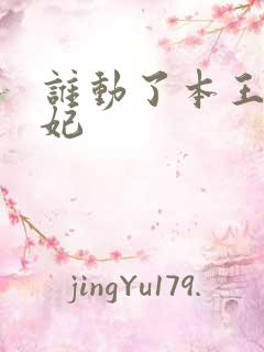 谁动了本王的悍妃