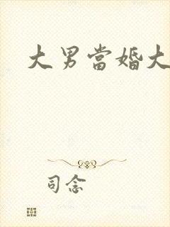 大男当婚大结局