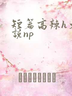 短篇高辣h文小说np