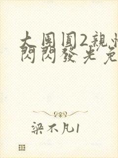 大团圆2亲情会闪闪发光免费