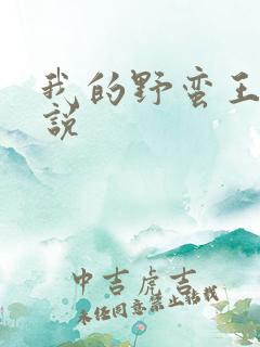 我的野蛮王妃小说