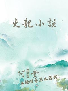 火龙小说