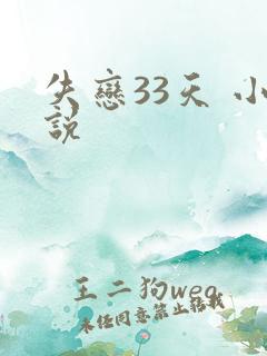 失恋33天 小说