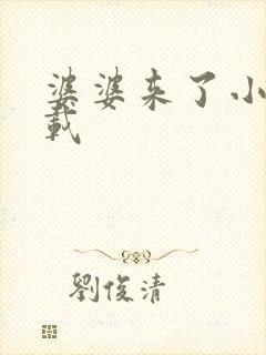 婆婆来了小说下载