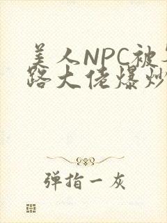 美人NPC被各路大佬爆炒小说