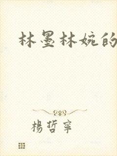 林墨林婉的小说