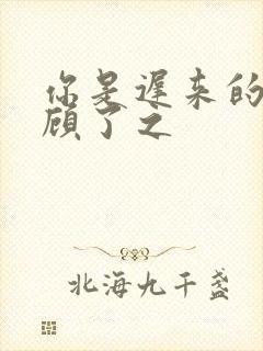 你是迟来的欢喜顾了之