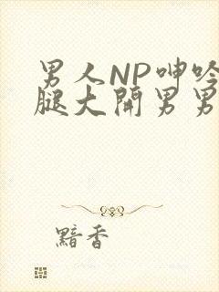 男人NP呻吟双腿大开男男小说
