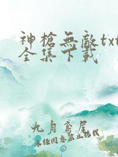 神枪无敌txt全集下载