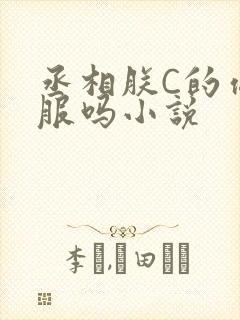 丞相朕C的你舒服吗小说