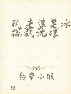 我老婆是冰山女总裁沈浪