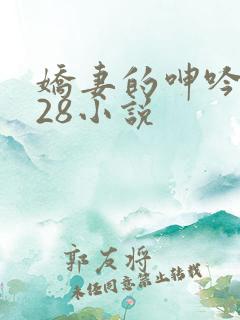 娇妻的呻吟1—28小说