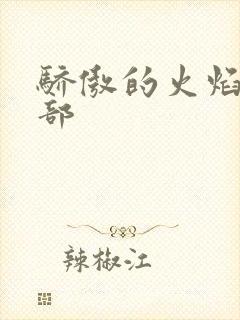 骄傲的火焰第二部