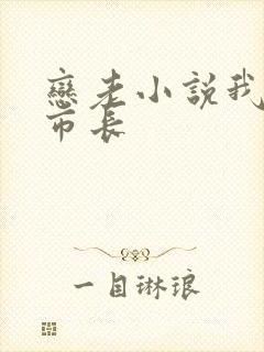 恋老小说我和老市长