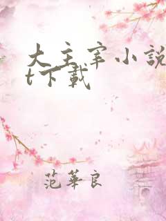 大主宰小说txt下载