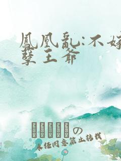 凤凰乱:不嫁妖孽王爷
